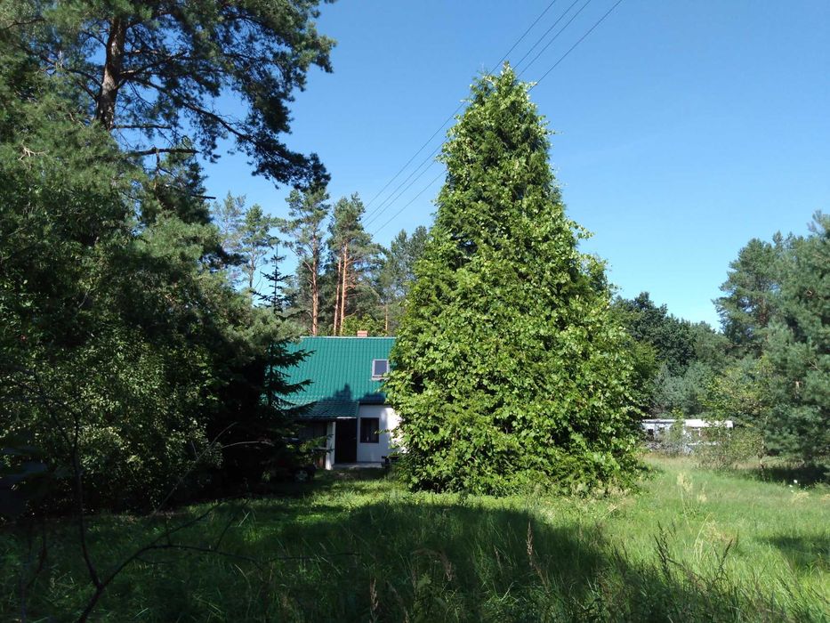 Domek z kominkiem, lasy, jeziora. Relaks gwarantowany!