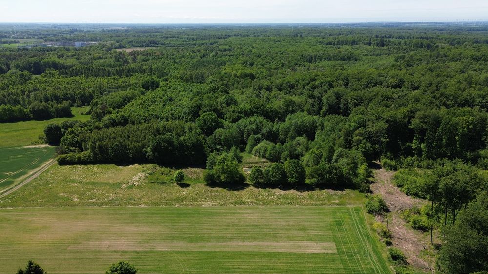 Działka budowlana pod lasem z własnym stawem obok Słupska - View 3