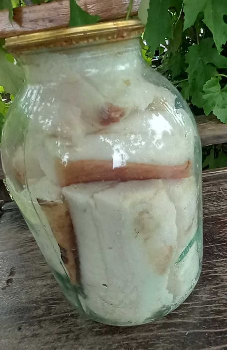 Продам сало в банках