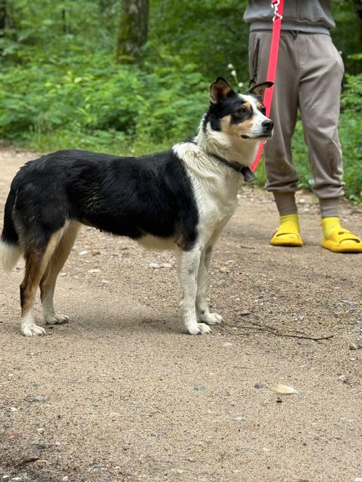 Kto pokocha cudowną Tenę?