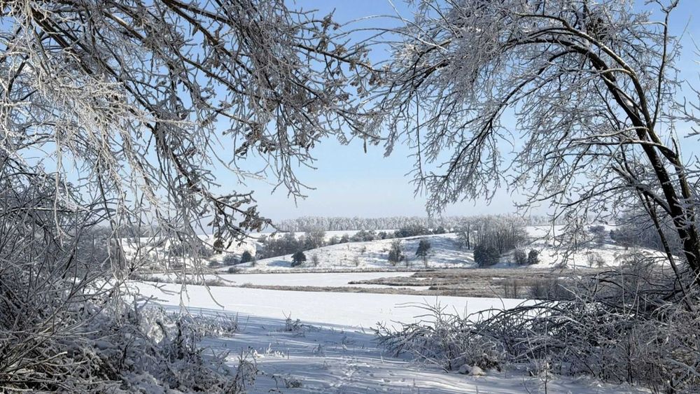 Земельна ділянка 12 соток, панорамний краєвид, 2 озера, с. Оленівка