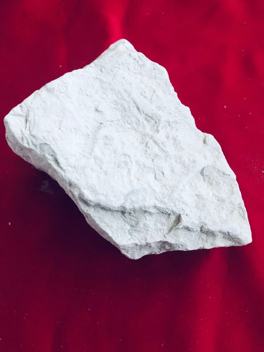 Глина    голубая