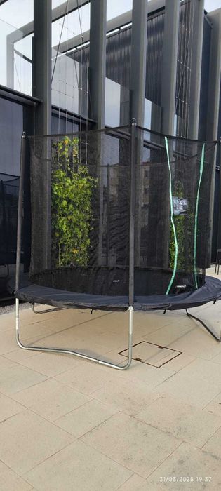 Serviço aluguer trampolim