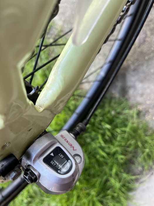 Rower cossak moonrider