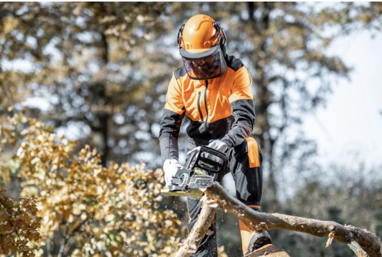 Escavações Lavoura Corta Mato