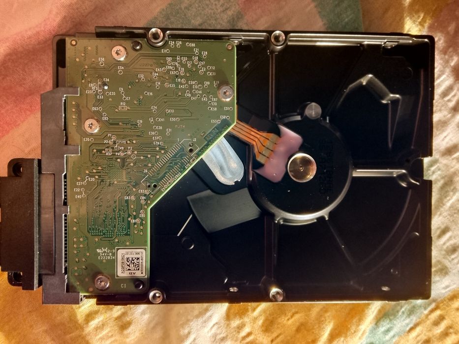 Twardziel jak widać