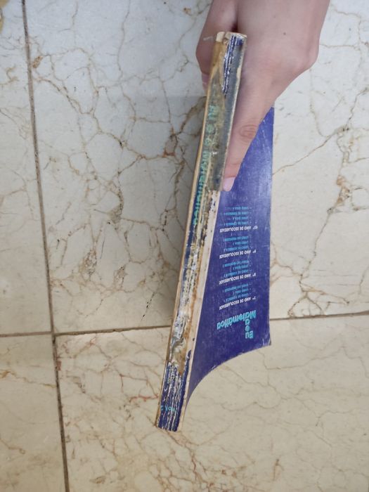 Me and Mathematics 1064575445978371122