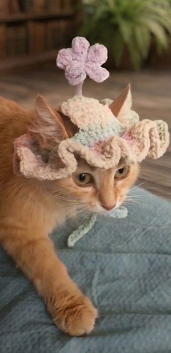 Шляпка +светр  для котика ,чі собачки ,з плюшевой пряжи
