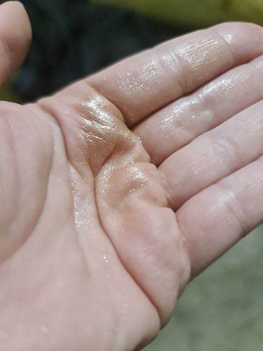 Paleta cieni Ingrid neutralne brązy