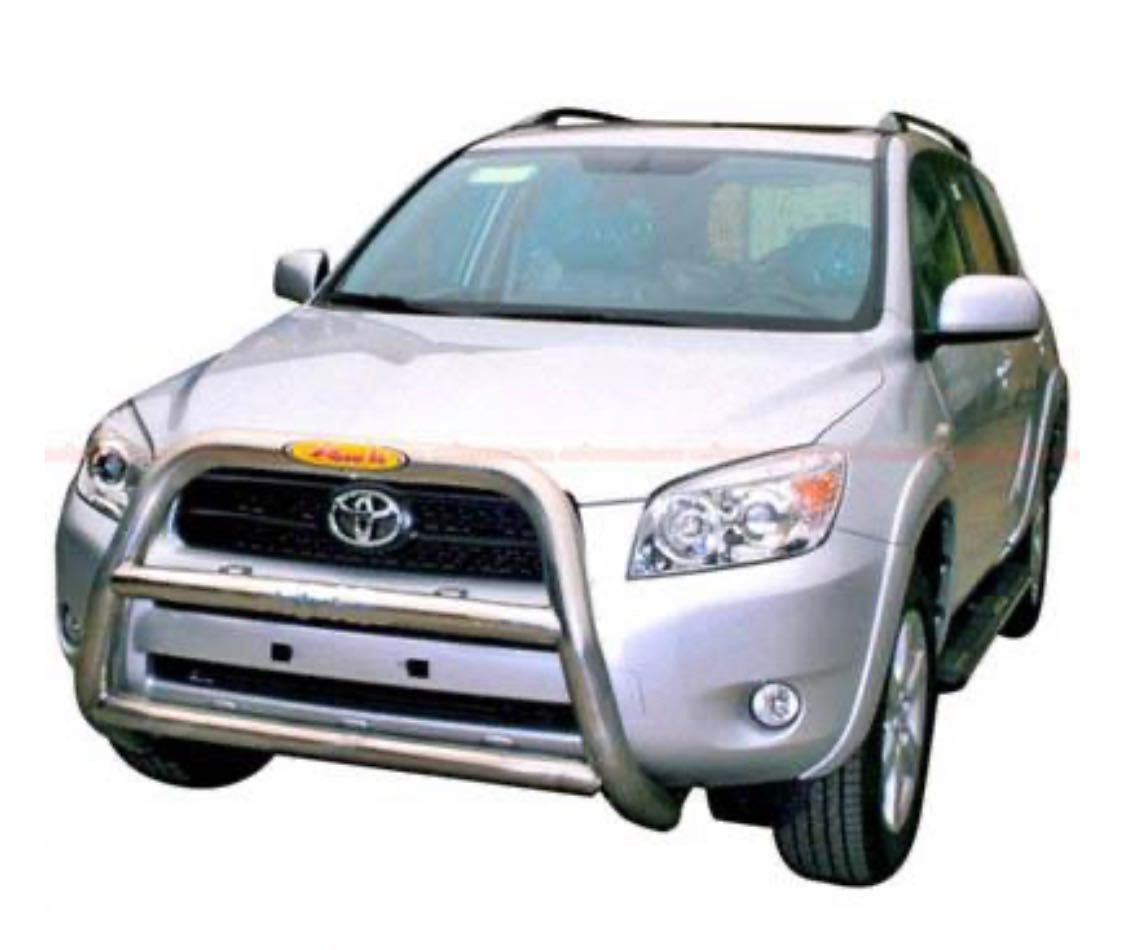 Кенгурятник Toyota Probox