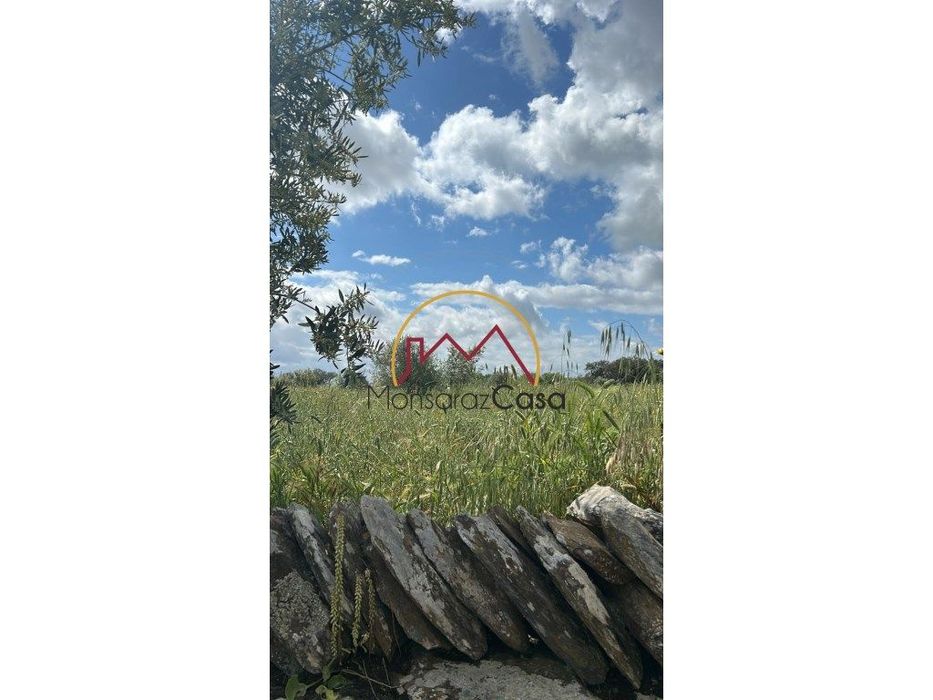 Terreno em Cabeça de Carneiro