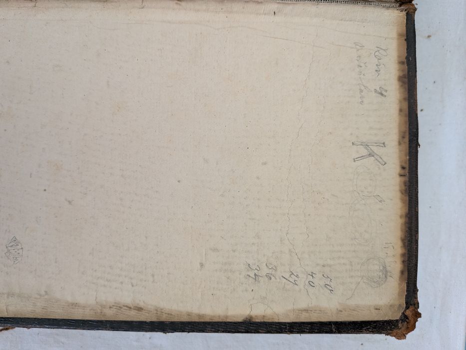 Antyczna Biblia niemiecka 1898 Martin Luther stara księga vintage