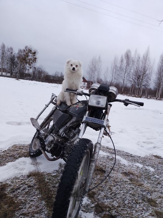 Продам мотоцикл альфа