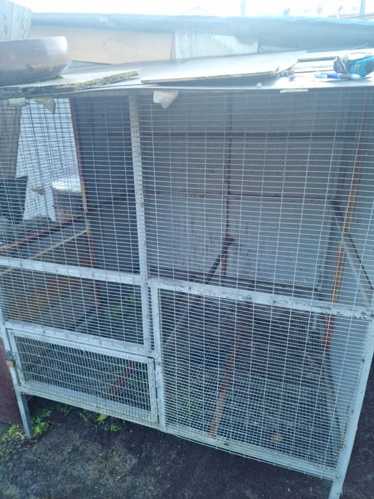 Gaiola grandes dimensões