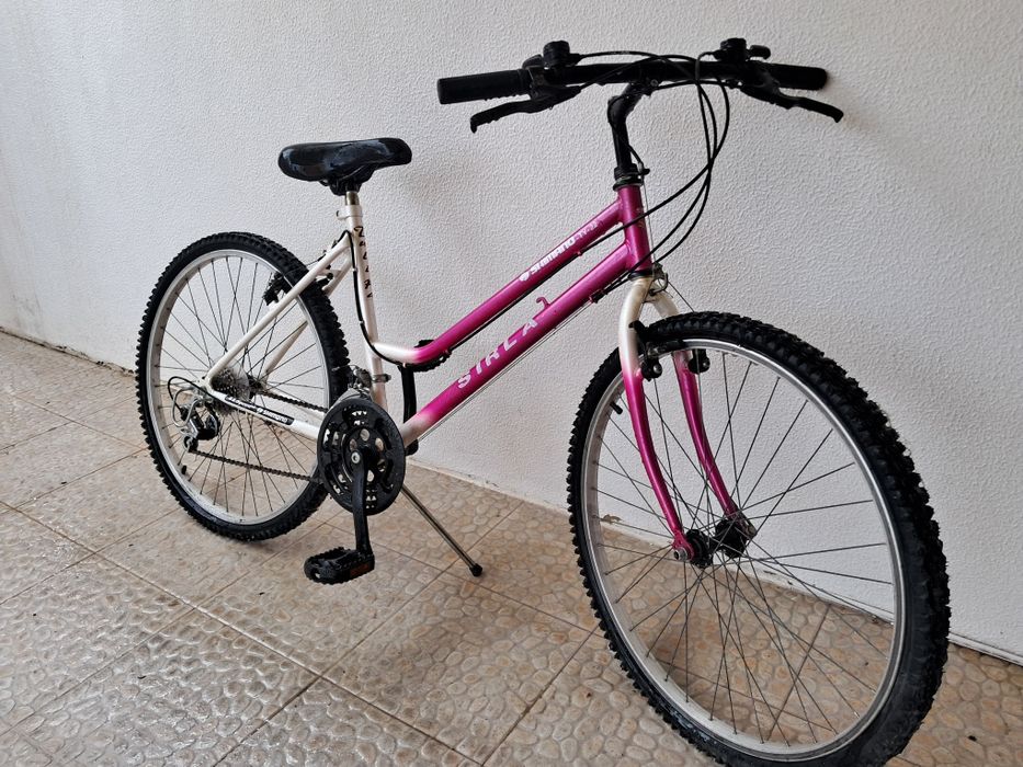 Bicicleta familiar