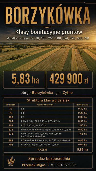 BORZYKÓWKA — 5,83 ha — 429 900 zł