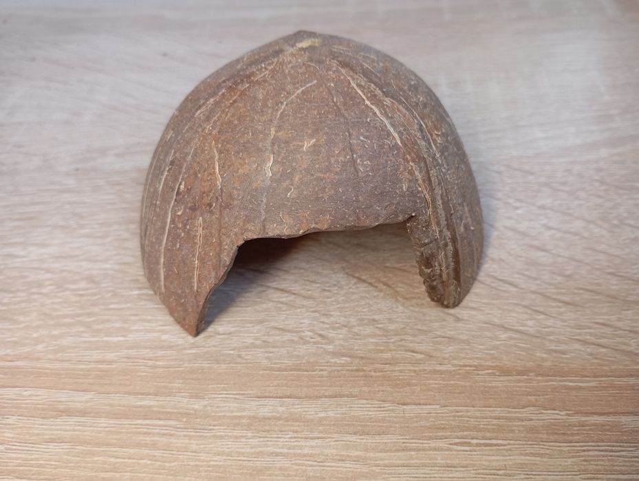 укритя ,печера з половинки кокоса