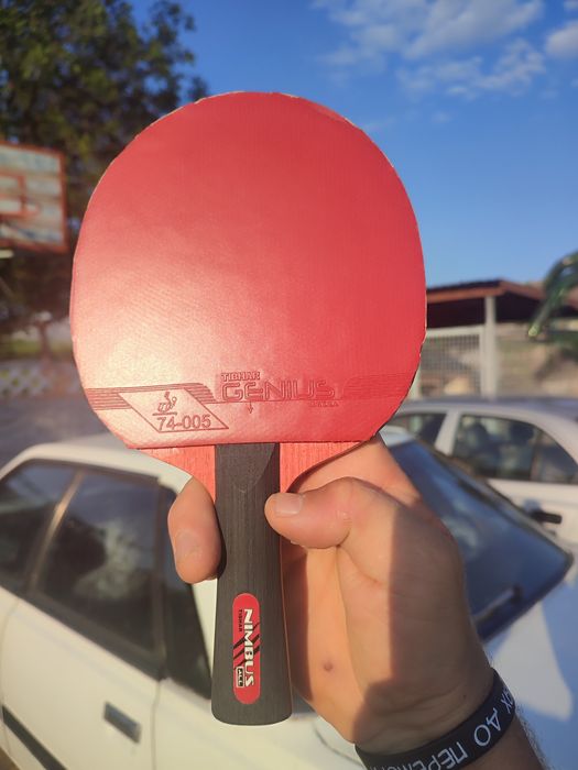 Butterfly Maze off table blek  Mizutani zlc Harimoto super zlc.