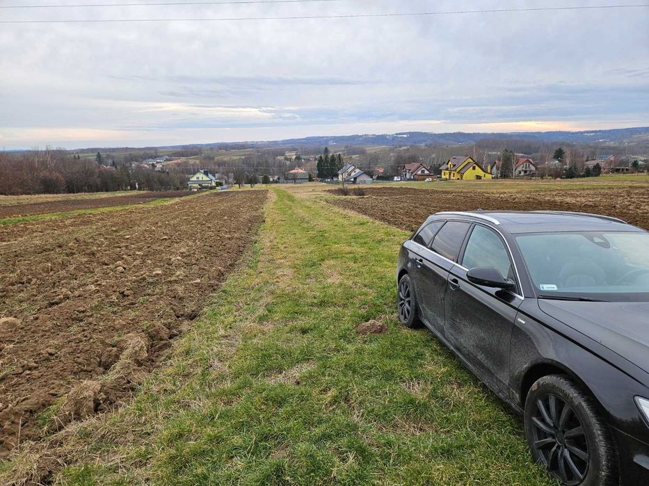 Działka leśna, las, Zgłobień