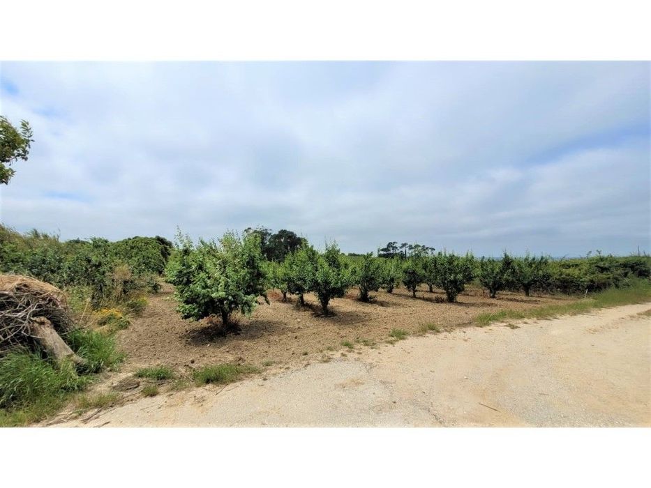 Terreno para construção no Bombarral