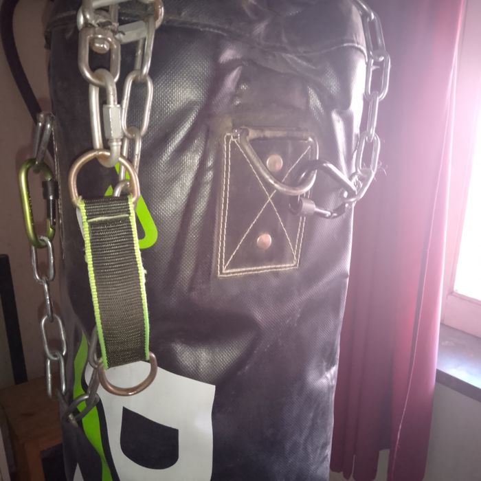 Shield ( plastron) + Pera