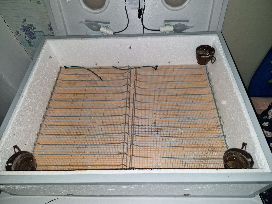 Инкубаторы 4 штуки