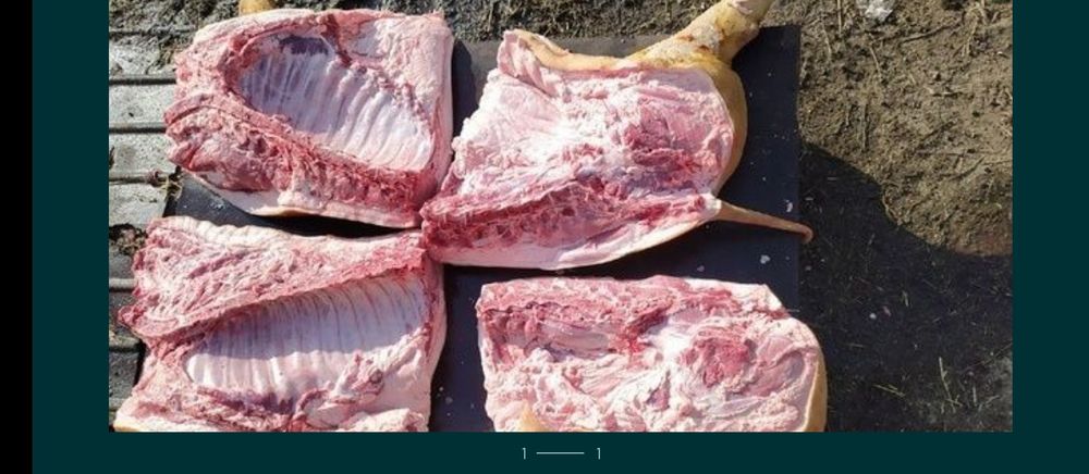 Продаю свиней живою вагою ,тушками півтушками, четвертинами