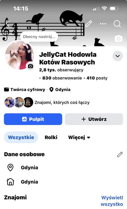 Ragdoll kocur Alex , rodowod FPL.