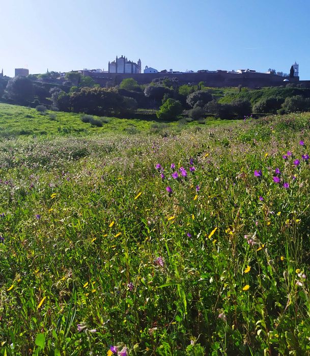 Monsaraz O sítio único e paradisíaco quinta com ruína para reconstruir