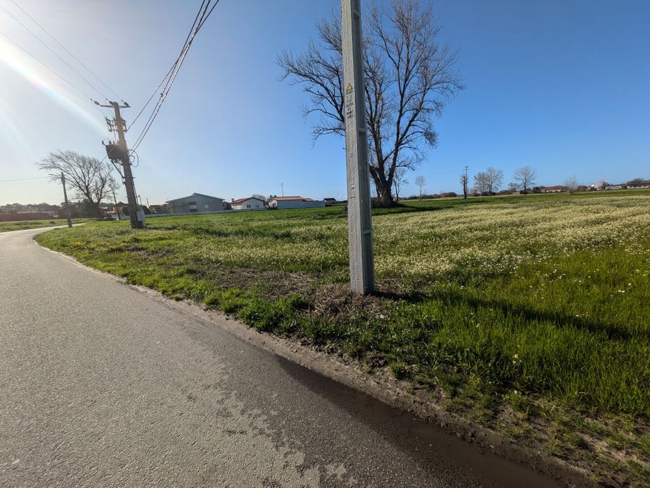 Terreno Rústico em Pardilhó