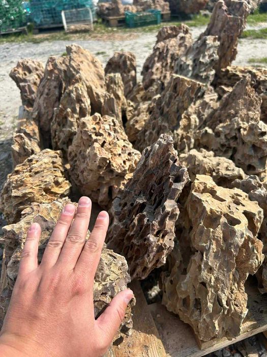 Kamień Akwarystyczny Smocza Skała Dragone Stone Wapień Akwarium