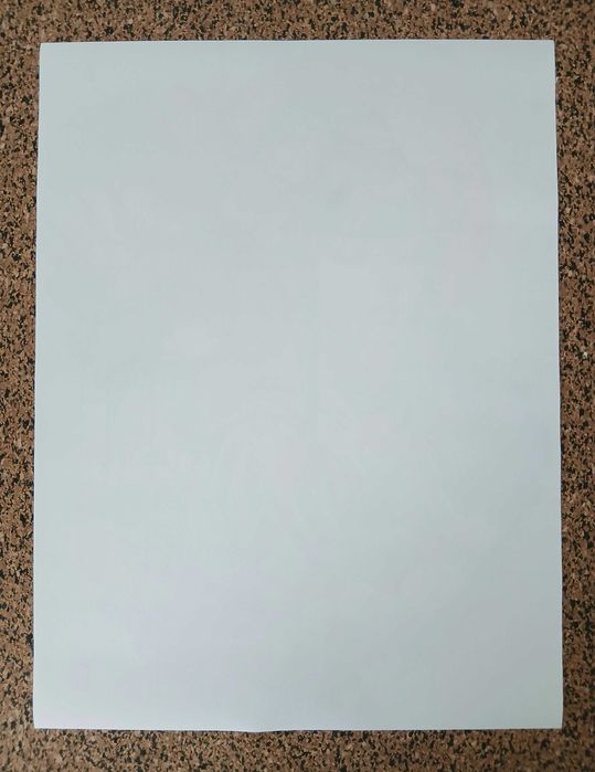 Poster - Geisha (tela, 30x40 cm)
