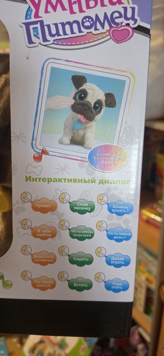 Умный пес, собака выполняет команды. Чичилав