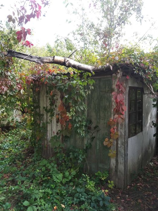 Продам будинок 10 км. від міста Хорол.