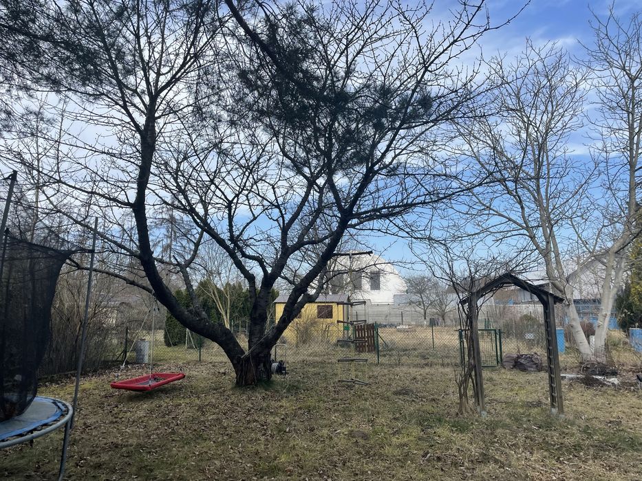 Działka ROD Lotnik ul. Strachowicka koło lotniska 350m