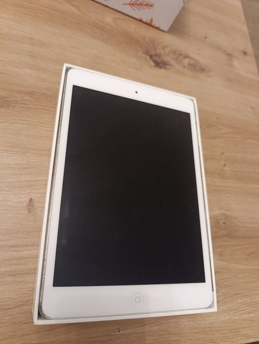 iPad mini 2 16 GB