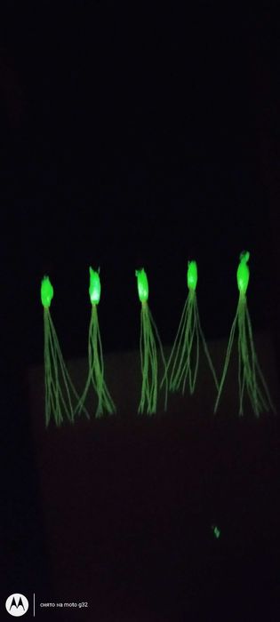 Пилькер самодур мушки