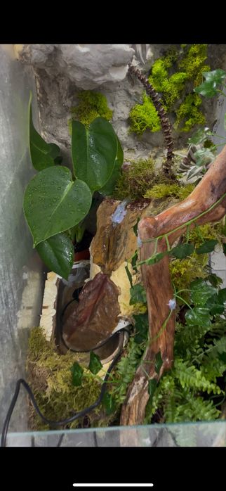 Terrarium z wodospadem dł:60 szer:40 wys:90(kameleon,gekon)