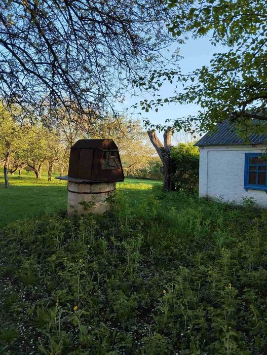 будинок + літня кухня + ділянка 56 соток + горіховий сад