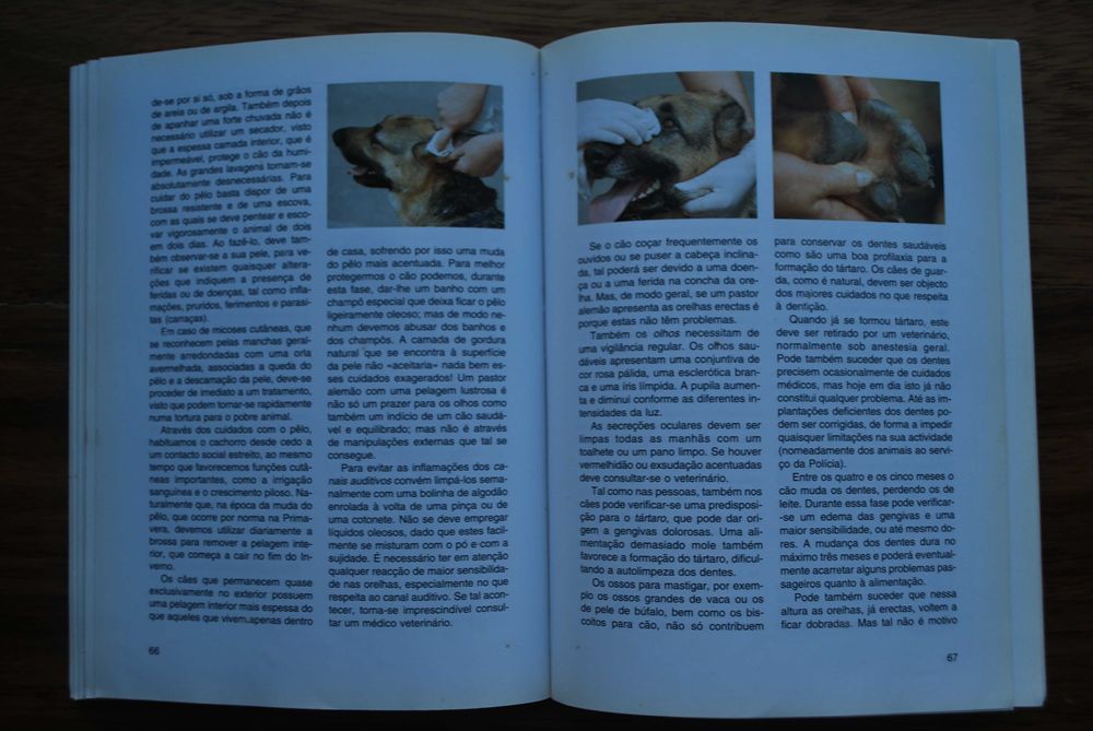 O Pastor Alemão de Reiner Voltz