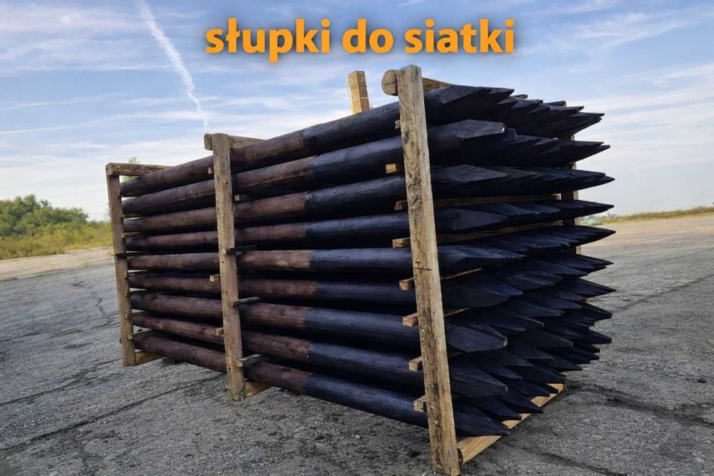 Słupki do siatki leśnej drewniane kołki 250cm  IMPREGNOWANE + Bitum