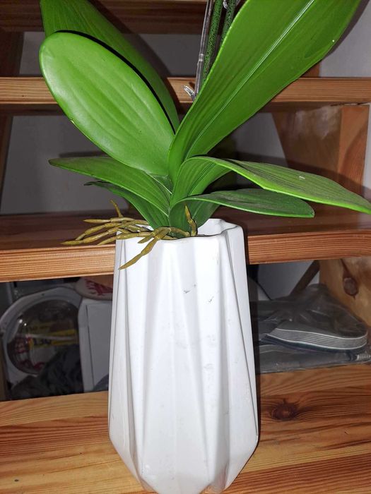 FEJKA Sztuczna roślina doniczkowa, Orchidea fioletowa storczyk 80 cm