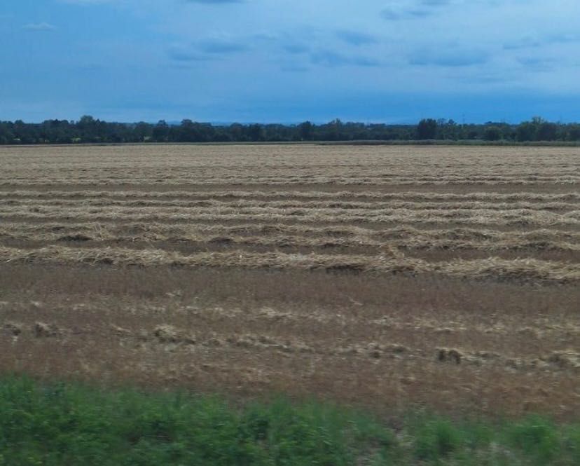 Продам земельний пай