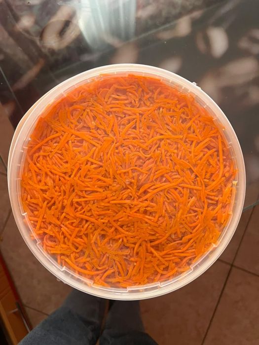 Квашенина капуста та морква