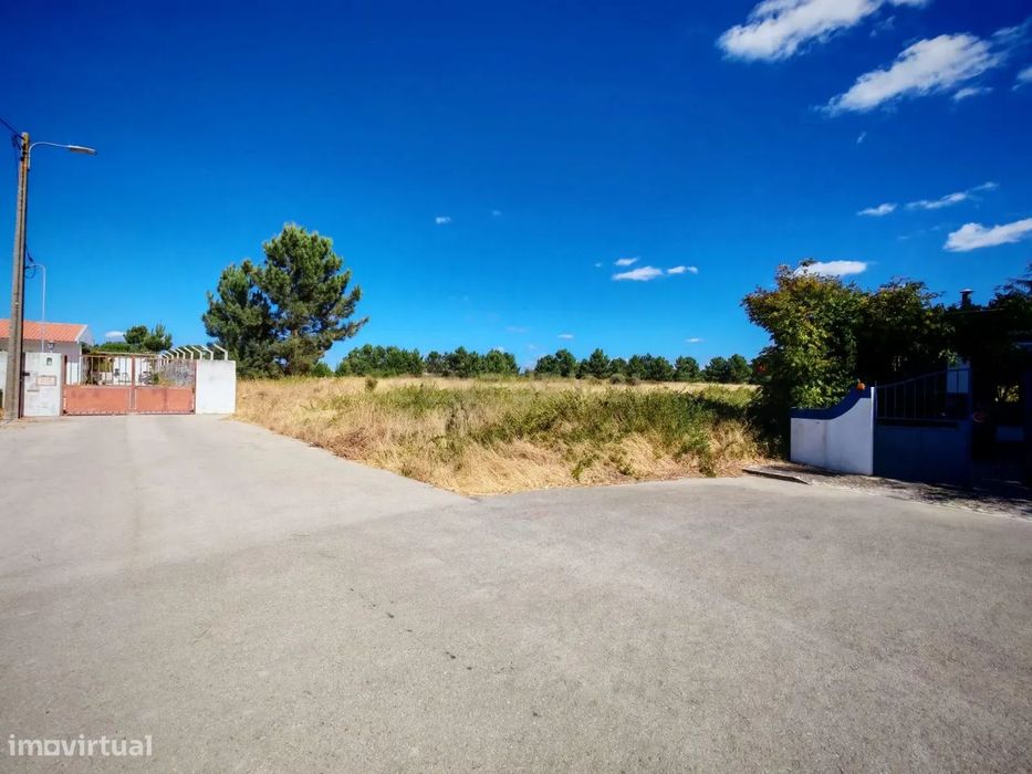 Terreno rústico com 20.000 m2 - Vale de Touros, Palmela