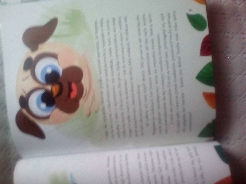 książka z biedronki gank bystrzaków