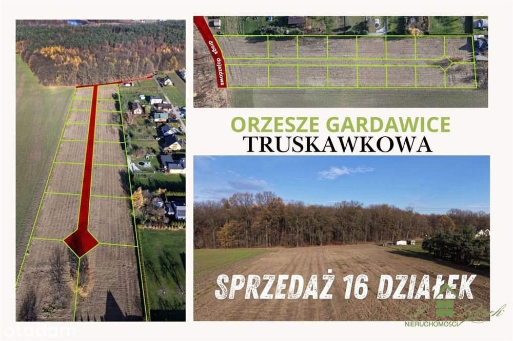 16 Działek Budowlanych – Orzesze, Ul. Truskawkowa