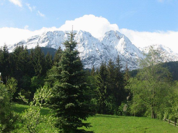 Tatrydom pok 2,3,4os.i apartamenty, widok na Giewon Zako Majòwka