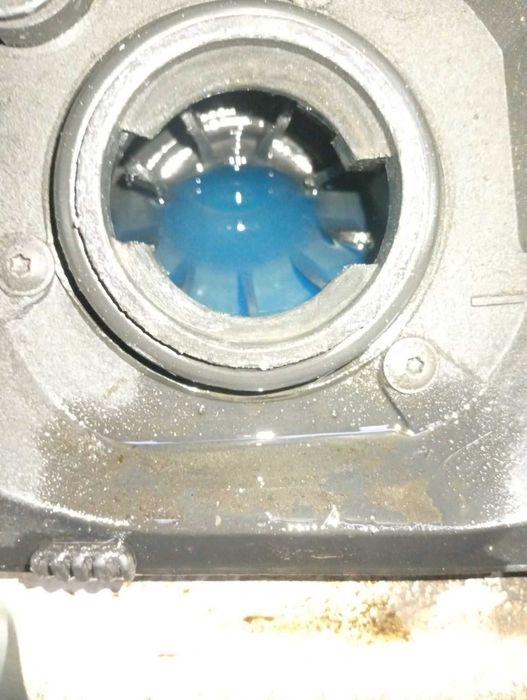 Вадим 1027 дежд ana