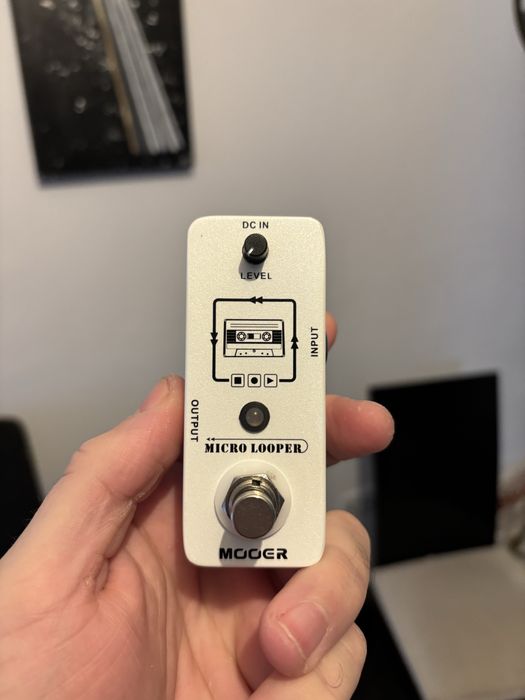 Micro looper mooer